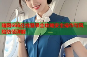暗网666在线登录全攻略安全操作与风险防范详解