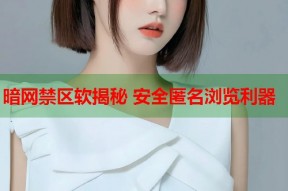 暗网禁区软揭秘 安全匿名浏览利器