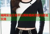 暗网安全交易平台揭秘隐秘资源与匿名交流