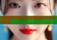 暗区禁网下载安装全攻略及安全访问详细教程