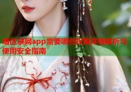 暗区禁网app需要哪些权限详细解析与使用安全指南