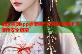 暗区禁网app需要哪些权限详细解析与使用安全指南