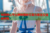 暗网核心平台揭秘隐秘交易与匿名交流新体验