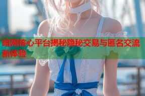 暗网核心平台揭秘隐秘交易与匿名交流新体验