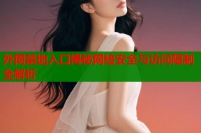 外网禁地入口揭秘网络安全与访问限制全解析