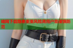 暗网下载隐患重重风险高用户需谨慎防范