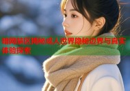 暗网禁区揭秘成人世界隐秘边界与真实体验探索