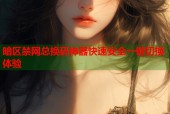 暗区禁网总换码神器快速安全一键切换体验