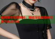 暗网黑市犯罪揭秘：网络深处的隐秘交易与执法行动