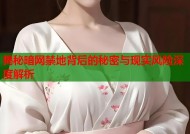揭秘暗网禁地背后的秘密与现实风险深度解析