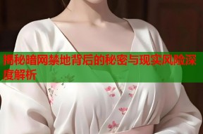 揭秘暗网禁地背后的秘密与现实风险深度解析