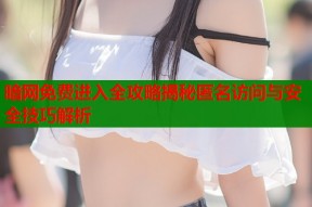 暗网免费进入全攻略揭秘匿名访问与安全技巧解析