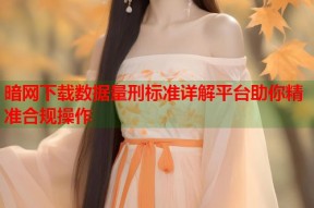 暗网下载数据量刑标准详解平台助你精准合规操作