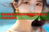 缅甸暗网黑产揭秘跨境网络犯罪窝点与洗钱链条解析