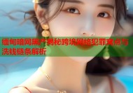 缅甸暗网黑产揭秘跨境网络犯罪窝点与洗钱链条解析