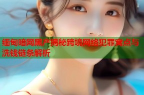 缅甸暗网黑产揭秘跨境网络犯罪窝点与洗钱链条解析