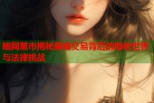 暗网黑市揭秘黑暗交易背后的隐秘世界与法律挑战