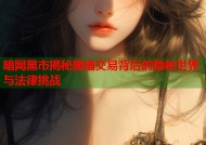 暗网黑市揭秘黑暗交易背后的隐秘世界与法律挑战