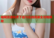 暗网资源免费下载与在线阅读全攻略揭秘