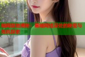 暗网禁地揭秘：黑暗网络深处的秘密与危机探索