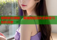 暗网禁地揭秘：黑暗网络深处的秘密与危机探索