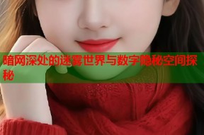 暗网深处的迷雾世界与数字隐秘空间探秘