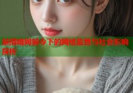 禁播暗网禁令下的网络监管与社会影响探析