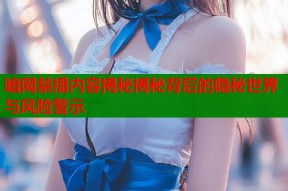 暗网禁播内容揭秘揭秘背后的隐秘世界与风险警示