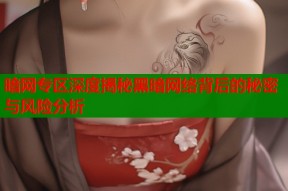 暗网专区深度揭秘黑暗网络背后的秘密与风险分析
