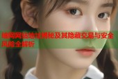 暗网网站地址揭秘及其隐藏交易与安全风险全解析
