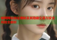 暗网网站地址揭秘及其隐藏交易与安全风险全解析
