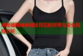 揭秘暗网神秘网址背后的世界与安全风险分析