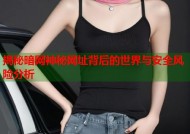 揭秘暗网神秘网址背后的世界与安全风险分析