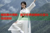 暗网黑市揭秘：数字世界的隐秘交易与风险探秘