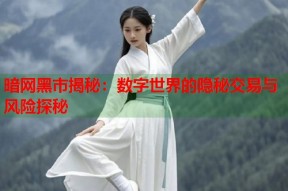 暗网黑市揭秘：数字世界的隐秘交易与风险探秘