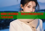 暗网红房间揭秘：隐秘世界的虚拟狂欢与危机探索