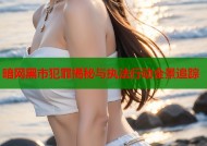 暗网黑市犯罪揭秘与执法行动全景追踪