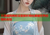 天涯暗网揭秘深度解析网络黑暗世界的隐秘真相
