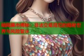 暗网黑市揭秘：非法交易背后的隐秘世界与风险警示