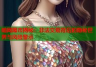 暗网黑市揭秘：非法交易背后的隐秘世界与风险警示