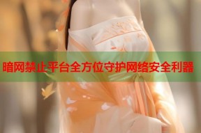 暗网禁止平台全方位守护网络安全利器