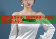 暗网恐惧鸟揭秘：隐藏在黑暗中的神秘生物与网络传说