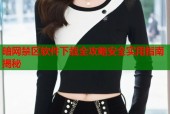 暗网禁区软件下载全攻略安全实用指南揭秘