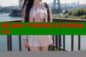暗区禁网APP权限详解与安全管理策略分析
