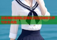 深度揭秘暗网私密网址背后的神秘世界与安全风险
