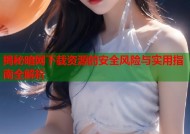 揭秘暗网下载资源的安全风险与实用指南全解析