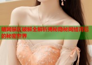暗网禁区破解全解析揭秘隐秘网络背后的秘密世界