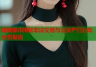 暗网黑市揭秘非法交易与公安严打行动全景报道