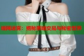 暗网迷雾：揭秘黑暗交易与秘密世界