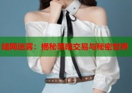 暗网迷雾：揭秘黑暗交易与秘密世界
